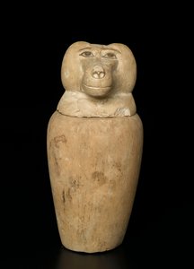 Vase canope